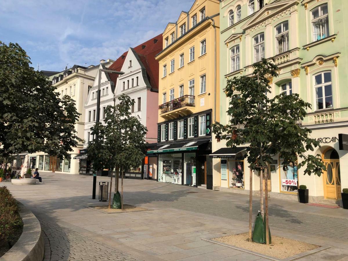 Apartman Orchidej U Vridla Karlovy Vary Bagian luar foto
