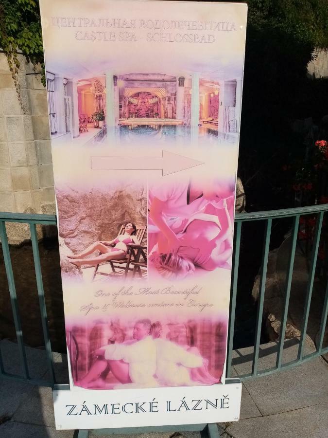 Apartman Orchidej U Vridla Karlovy Vary Bagian luar foto