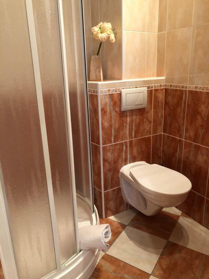 Apartman Orchidej U Vridla Karlovy Vary Bagian luar foto