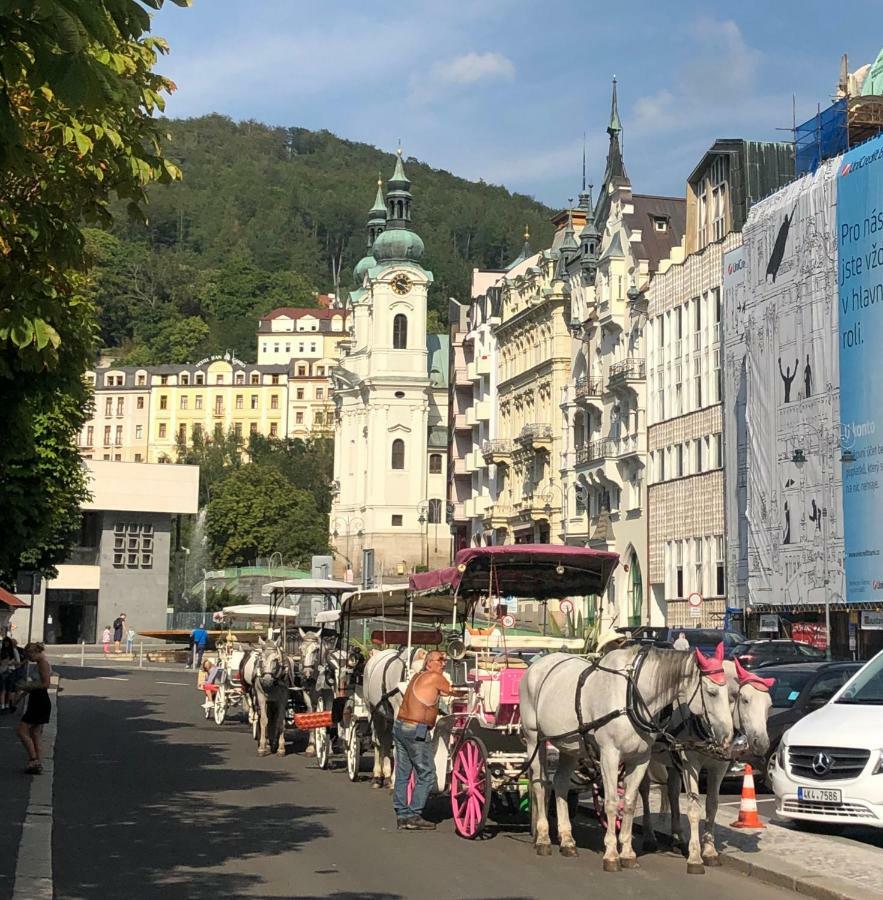 Apartman Orchidej U Vridla Apartment Karlovy Vary Bagian luar foto